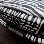 Zebra car